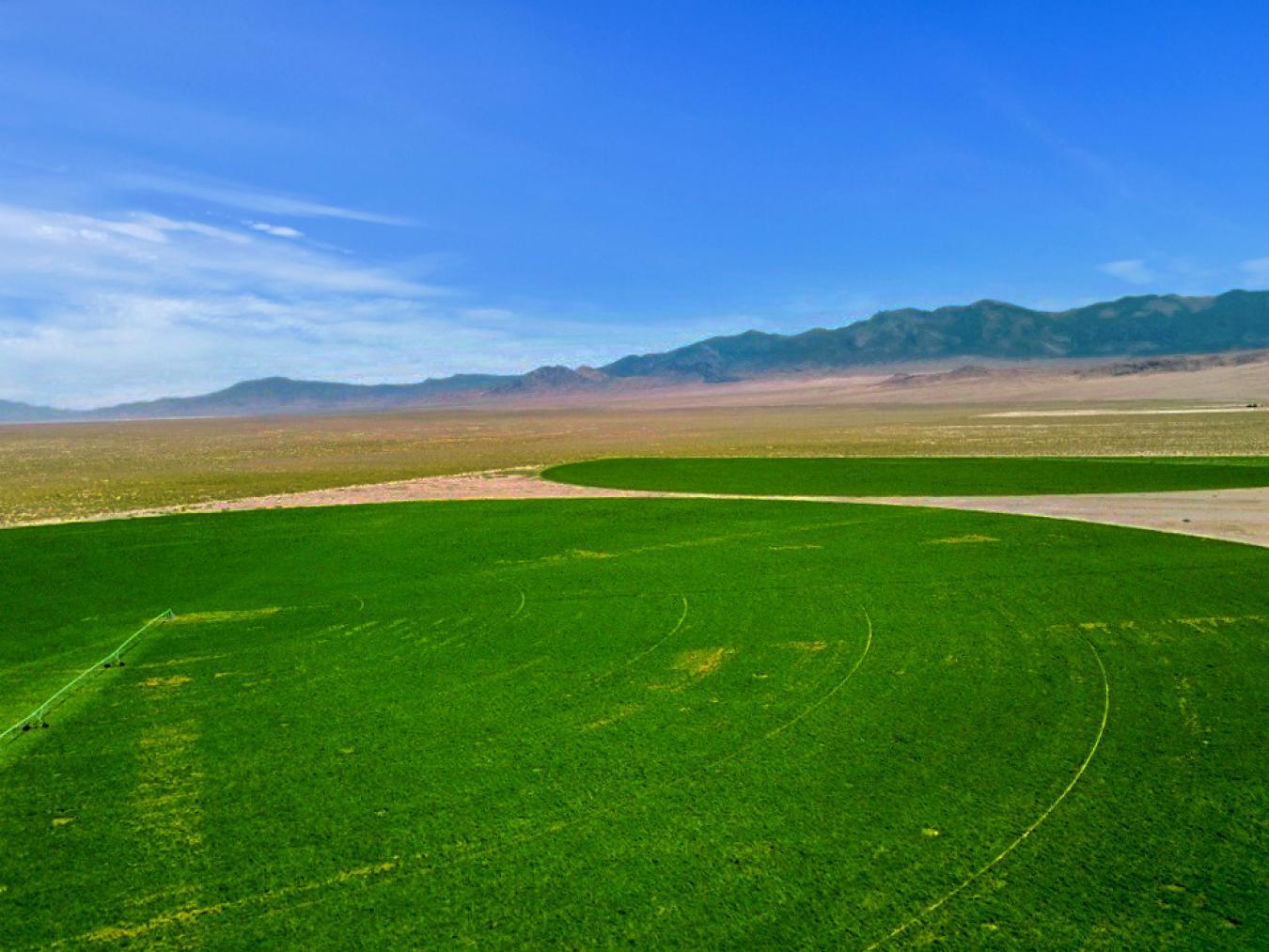 947277 Railroad Valley Road, Tonopah, Nevada, 89049, United States, 2 Bedrooms Bedrooms, ,1 BathroomBathrooms,Residential,For Sale,947277 Railroad Valley Road,1236076