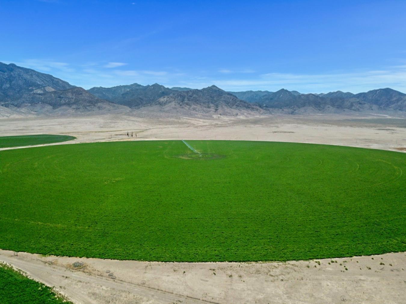 947277 Railroad Valley Road, Tonopah, Nevada, 89049, United States, 2 Bedrooms Bedrooms, ,1 BathroomBathrooms,Residential,For Sale,947277 Railroad Valley Road,1236076