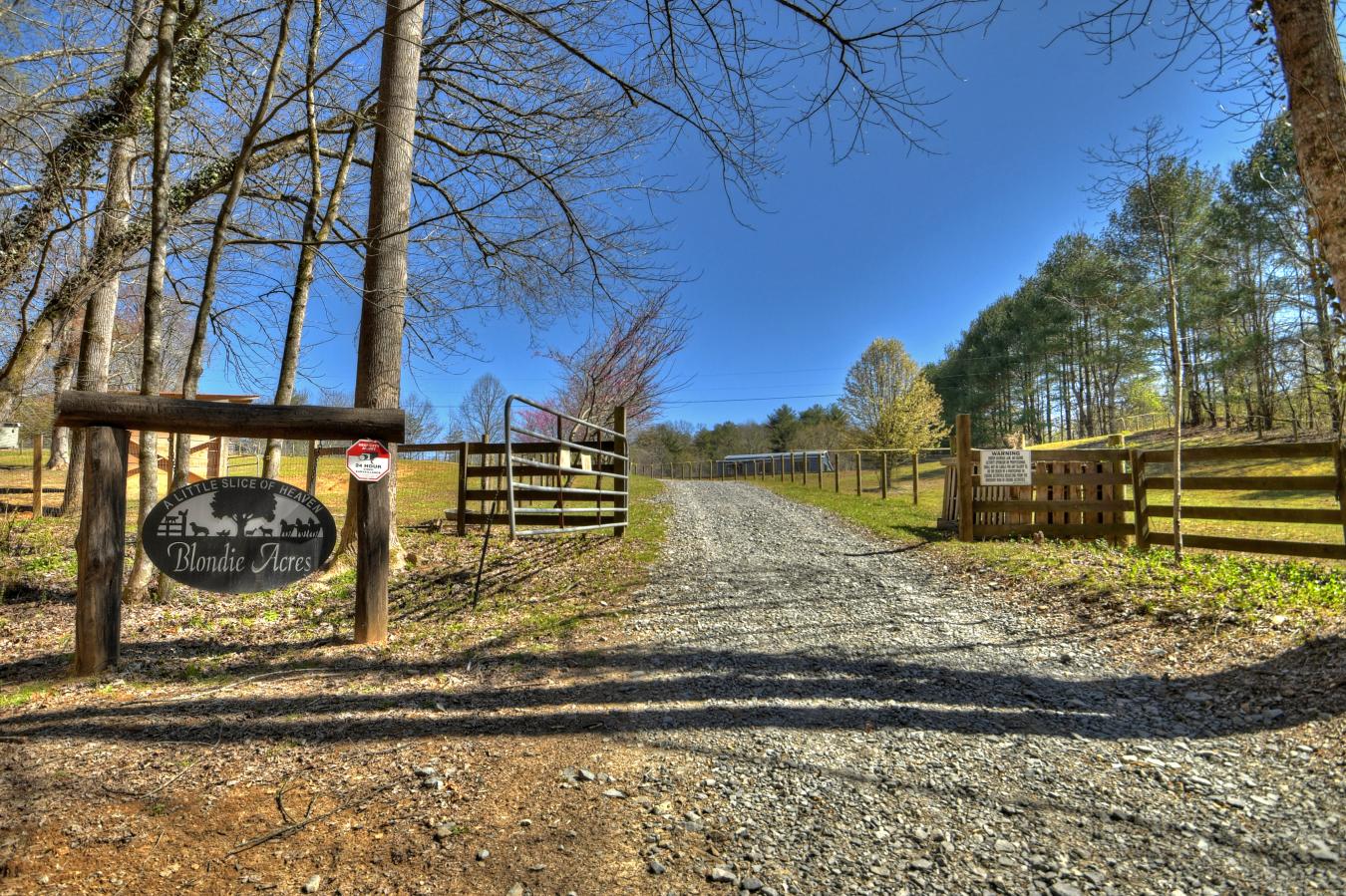 2897 Goose Island Road, Cherry Log, Georgia, 30522, United States, 3 Bedrooms Bedrooms, ,3 BathroomsBathrooms,Residential,For Sale,2897 Goose Island Road,1237139