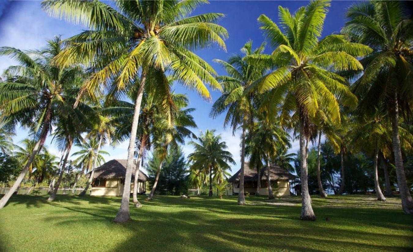 1 Motu Moie, Taha, French Polynesia, 5 Bedrooms Bedrooms, ,6 BathroomsBathrooms,Residential,For Sale,1 Motu Moie,1243134