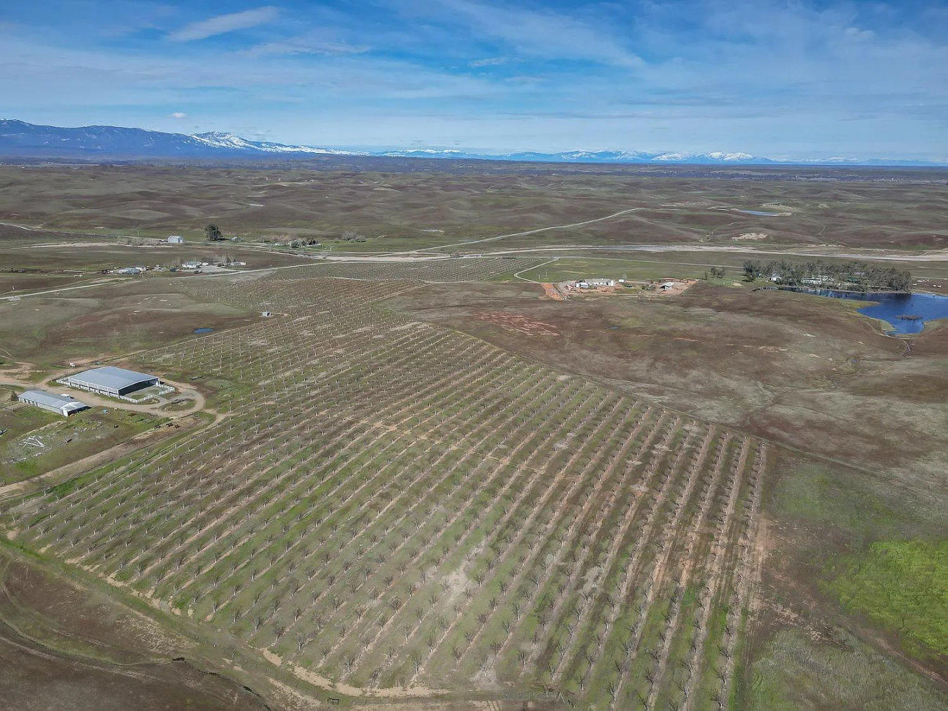 0 Butte Mountain Road, Corning, California, 96021, United States, ,Residential,For Sale,0 Butte Mountain Road,1243114