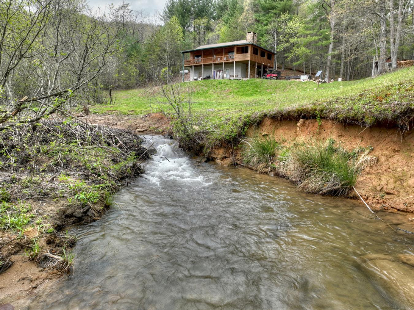 1251 Wehunt Road, Blue Ridge, GA, 30513, United States, 2 Bedrooms Bedrooms, ,2 BathroomsBathrooms,Residential,For Sale,1251 Wehunt Road,1250731