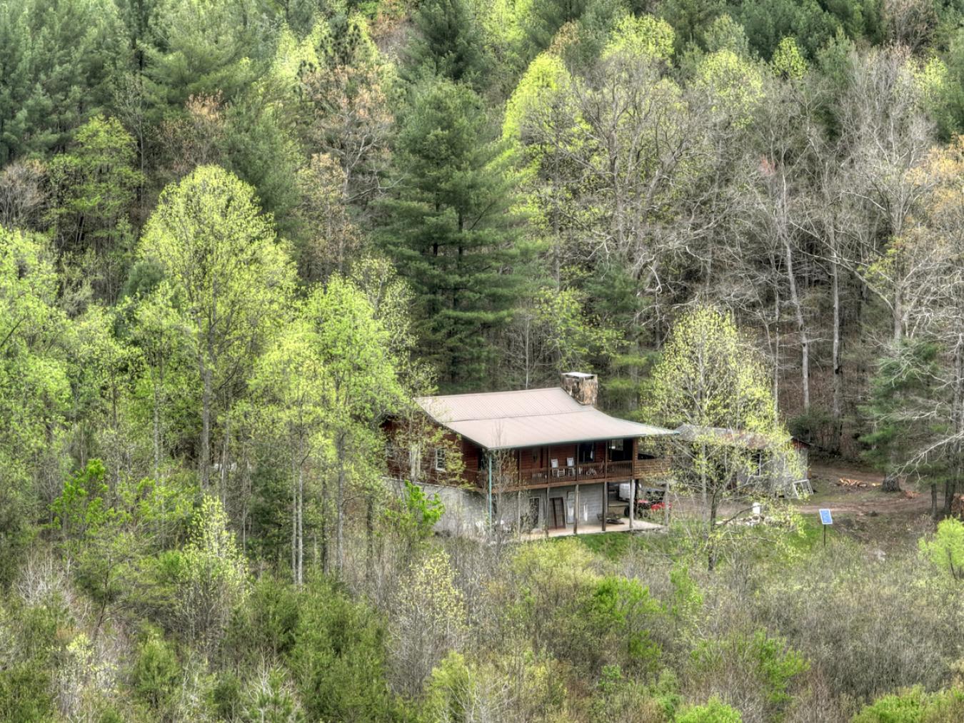 1251 Wehunt Road, Blue Ridge, GA, 30513, United States, 2 Bedrooms Bedrooms, ,2 BathroomsBathrooms,Residential,For Sale,1251 Wehunt Road,1250731