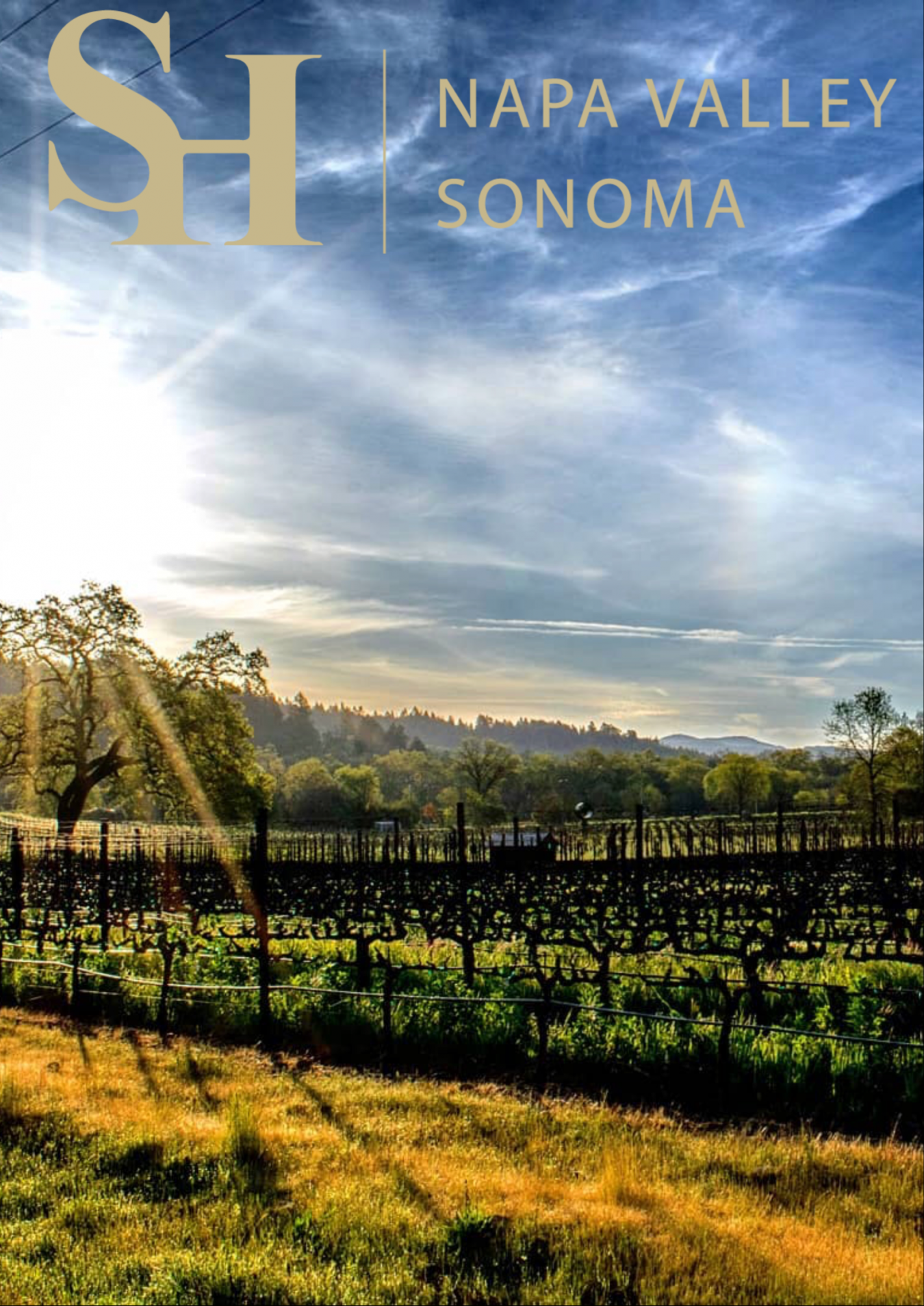 1600 Adams Street, St. Helena, CA, 95474, United States, 2 Bedrooms Bedrooms, ,2 BathroomsBathrooms,Residential,For Sale,1600 Adams Street,1256457