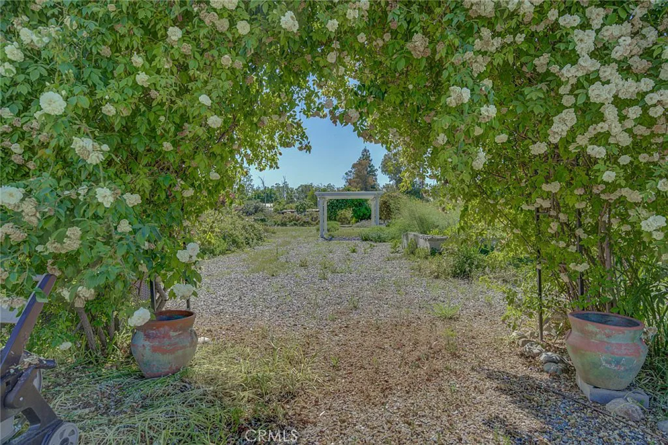 2578 County Road I, Willows, California, 95988, United States, 3 Bedrooms Bedrooms, ,2 BathroomsBathrooms,Residential,For Sale,2578 County Road I,1268216