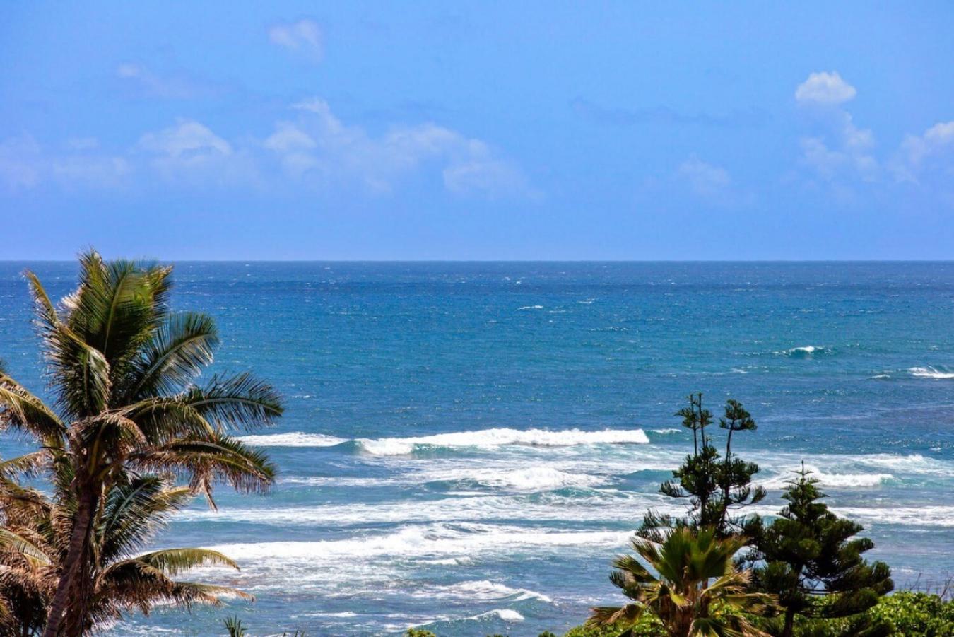 KUKUNA RD Unit 24D-, ANAHOLA, Hawaii, 96746, United States, ,Residential,For Sale,KUKUNA RD Unit 24D-,1459663