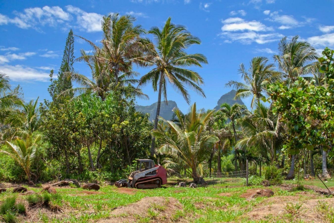 KUKUNA RD Unit 24D-, ANAHOLA, Hawaii, 96746, United States, ,Residential,For Sale,KUKUNA RD Unit 24D-,1459663