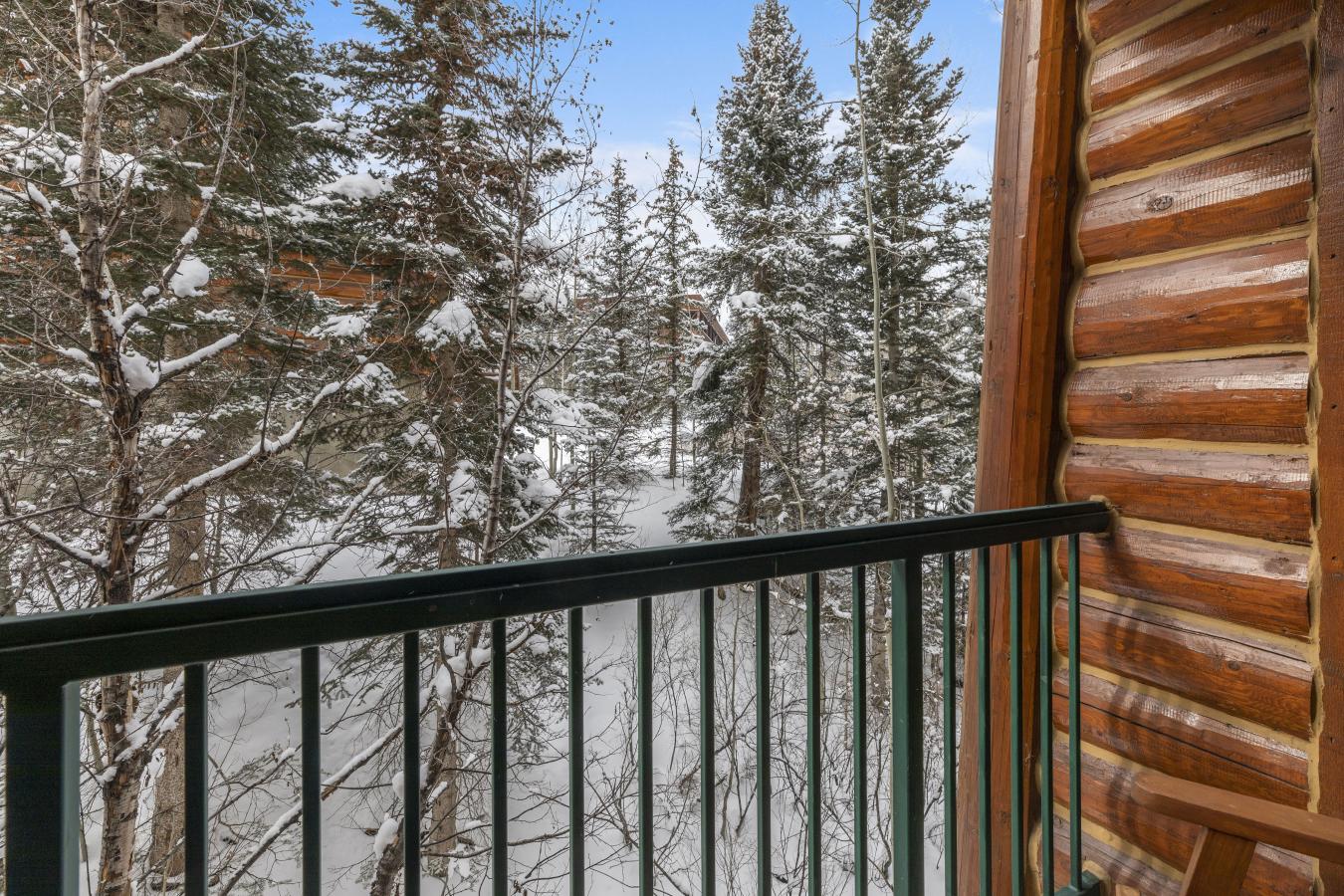 457 Mountain Village Blvd, Mountain Village, Colorado, 81435, United States, 1 Bedroom Bedrooms, ,1 BathroomBathrooms,Residential,For Sale,457 Mountain Village Blvd,1277784