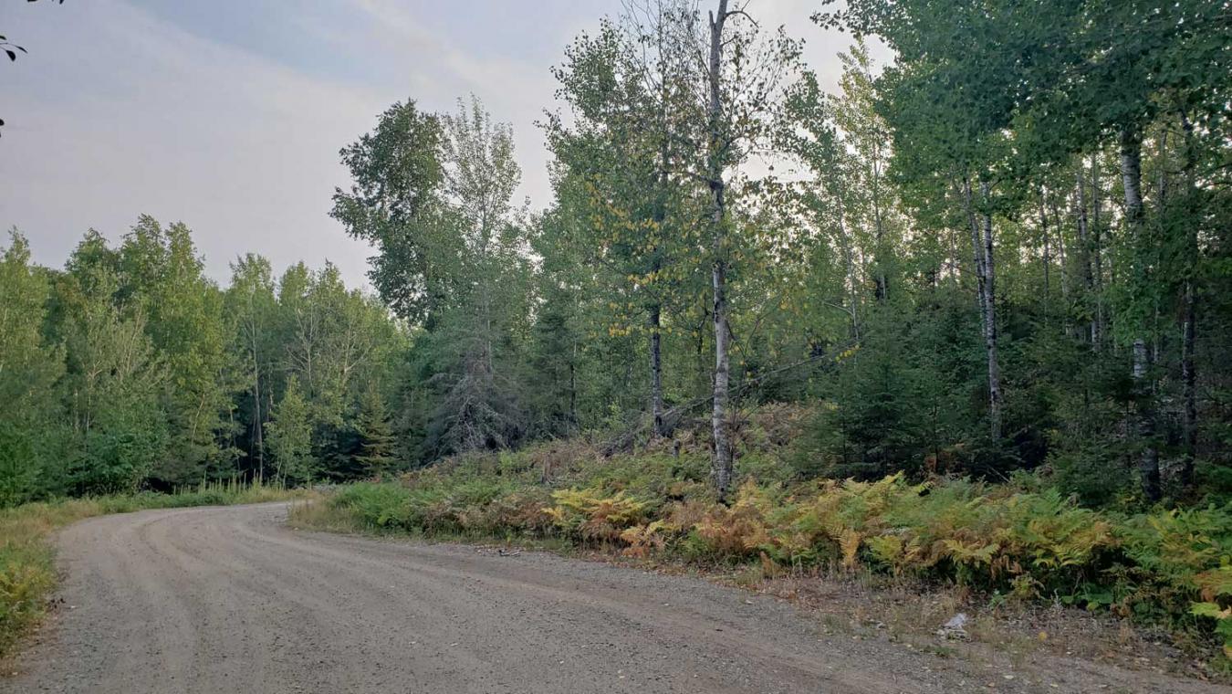 TBD Indian Point, Tower, Minnesota, 55790, United States, ,Residential,For Sale,TBD Indian Point,1289401