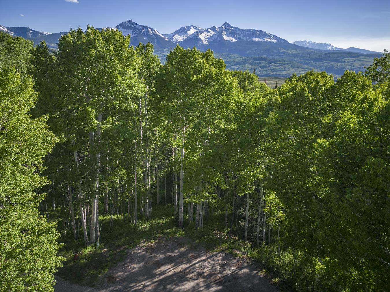 TBD Saddle Horn Lane, Telluride, Colorado, 81435, United States, ,Residential,For Sale,TBD Saddle Horn Lane,1295820