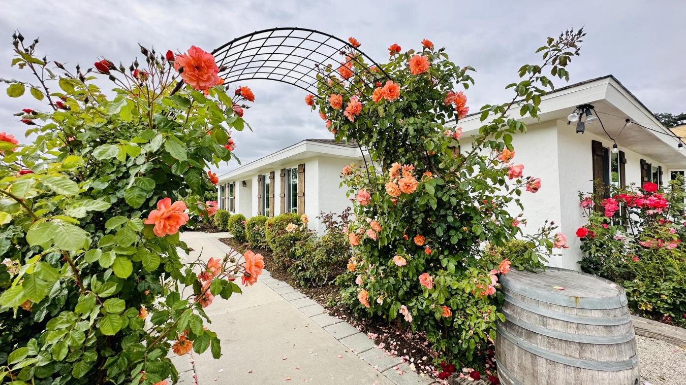 1226 Alamo Pintado Road, SOLVANG, CA, 93463, United States, 4 Bedrooms Bedrooms, ,3 BathroomsBathrooms,Residential,For Sale,1226 Alamo Pintado Road,1308287